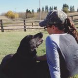 Reliable, Enthusiastic Dog Walker in Beaumont, Alberta