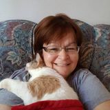 Experienced babysitter, nanny and educator in daycare