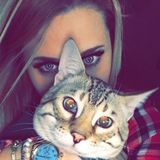 Cat and Dog Sitting