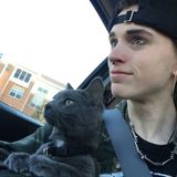 Professional and Caring Animal Caregiver