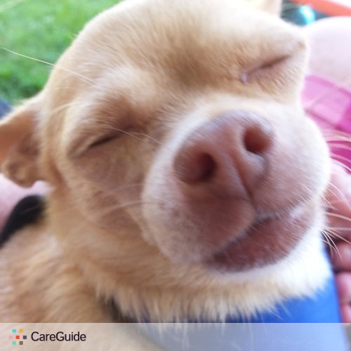 Pet Care Provider Teresa T's Profile Picture