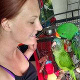 Dog, reptile, fish/coral, and bird/parrot sitter in New Port Richey