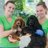Housekeepers Wanted, Get Hired Now!