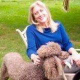 Pet Carer Available in Myerstown and Hamburg Areas