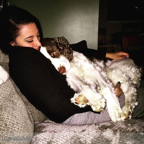 Pet Care Provider Kasey A's Profile Picture