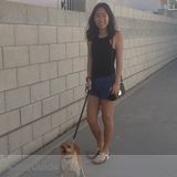 Pet Sitter: Ready When You Need One