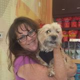 Ontario Dog Sitting Professional Interested In Job Opportunities in California