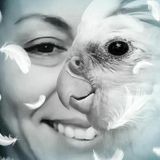 Birds, Cats, Reptile, Plants & Small Exotic Animals