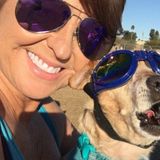 Passionate Housesitter/Petsitter in Phoenix and surrounding areas, Arizona.