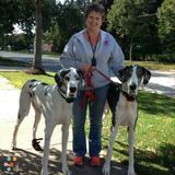 Insured Pet Sitter & Dog Walker