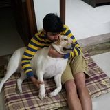 Pet lover, experienced with personal dogs