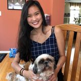 Experienced Pup Care Taker!