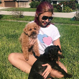Dog Walking Offered in West Palm Beach