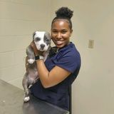 Professional Pet Supervisor in Smyrna