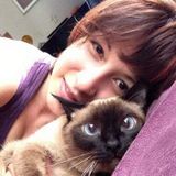 Love Dog And Cats
