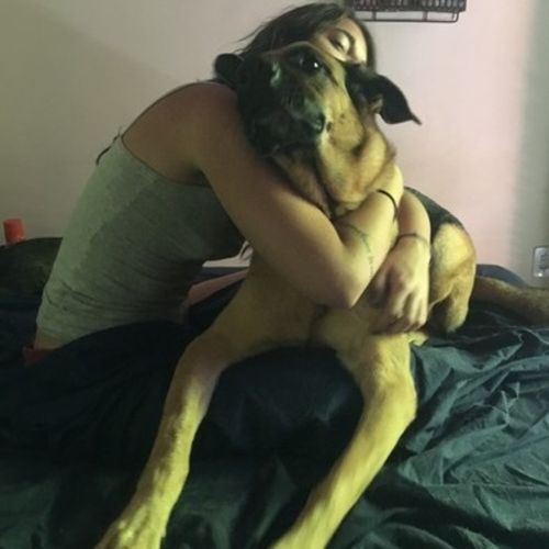 Pet Care Provider Eleonora T's Profile Picture