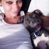 Lovable Capable Pet Care Provider for Your Home