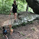 For Hire: Hardworking Pet Care Provider in Bel Air