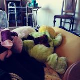 Available: Honest Pet Care Provider in Caldwell or surrounding cites