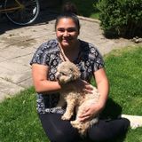 Need a Babysitter? Available: Child Carer in Saginaw, Michigan