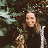 A Sincere, Passionate Person That Would Love To Graciously Tend To Your Home, Your Plants, Your Pets, Your Mail :)
