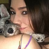 Interested In North Miami Beach Pet Trainer, Florida Jobs