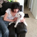 For Hire: Good Pet Sitter in Tavares