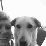 Interested In a House and Petsitter Opportunity in Charlottesville