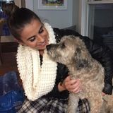 Dog Sitter, for Chicagoland & Northwest Indiana