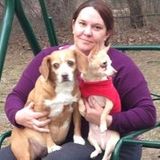 Consistent Pet Sitting Professional in Webster