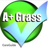 Affordable Lawn Care - A+ Grass