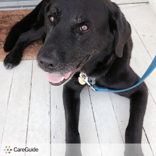 Pet Care Provider Jessica S's Profile Picture