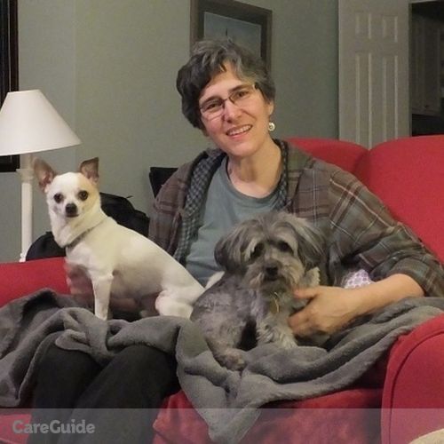 Pet Care Provider Tamera H's Profile Picture