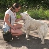 4th Year UVic Student Living in Mill Bay: Experienced dog walker/sitter!