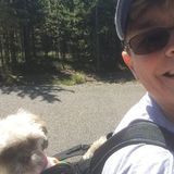 Available: Passionate Animal Lover in Sylva and surrounding areas.