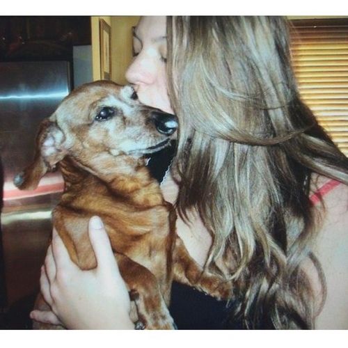 Pet Care Provider Mary R's Profile Picture