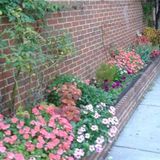 Mastergardener