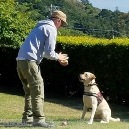 Pet Care Provider Paul M's Profile Picture