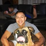Mcallen Animal Caregiver Available For Job Opportunities