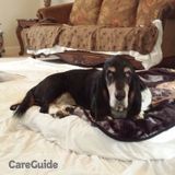 House Pet Sitting
