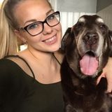 Animal Caretaker. Pembroke, Ontario
