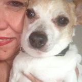 Weekend Experienced & Compassionate Caretaker for your fur babies