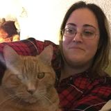 Reliable Pet/House Sitter
