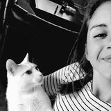 House Sitter