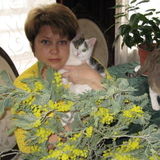Exelent cat sitter that loves cats and dogs