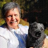 Available For BC House Sitter, British Columbia Jobs