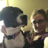 Hardworking Pet Sitter who loves all animals.
