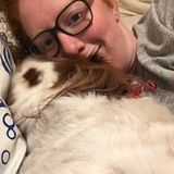 Available: skilled dog/cat sitter in Asheville, North Carolina