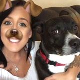 Dog lover who would love to board your pup!