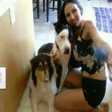 Reliable Pet care Overnight Care and emergency care Available Now! SevenOtoo. SevenNine3. SephenFor, therefore.
